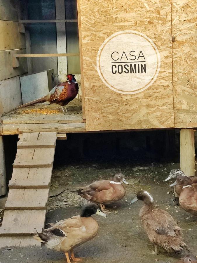 Casa Cosmin Cincu Hotel Bagian luar foto